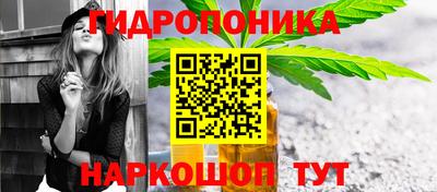 стафф Краснознаменск