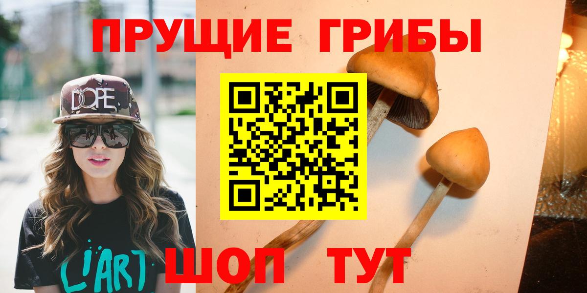 Псилоцибиновые грибы Psilocybine cubensis  Вход с VPN  продажа наркотиков  Волгодонск 